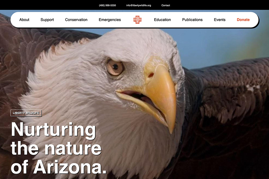 Liberty Wildlife (2024): Website design and developed in WordPress.